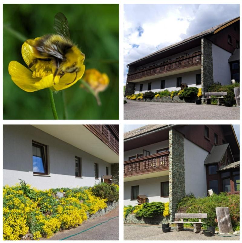 Draxlerhaus Hotel Hohentauern Bagian luar foto
